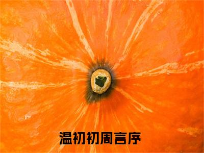 温初初周言序免费阅读无弹窗（温初初周言序）全文免费阅读无弹窗大结局_温初初周言序最新章节列表_笔趣阁（温初初周言序）