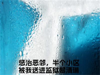 惩治恶邻，半个小区被我送进监狱黎清琳全文免费阅读无弹窗大结局-（惩治恶邻，半个小区被我送进监狱黎清琳）免费阅读无弹窗最新章节列表-笔趣阁