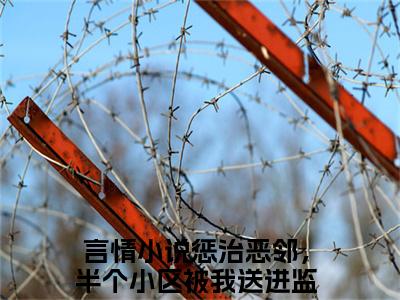 惩治恶邻，半个小区被我送进监狱黎清琳是哪部小说的主角-（惩治恶邻，半个小区被我送进监狱黎清琳）全文无弹窗完整版阅读
