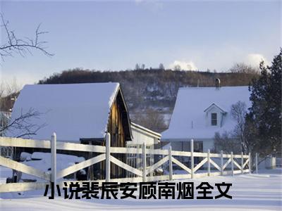 裴辰安顾南烟免费小说 裴辰安顾南烟在线小说免费阅读目录