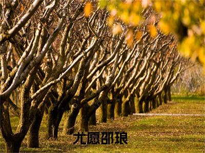 尤愿邵琅全网首发最新小说主角尤愿邵琅全文在线免费阅读