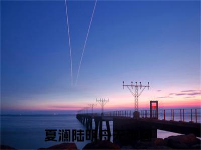 夏澜陆明舟全集小说完整版大结局_夏澜陆明舟完结版在线阅读