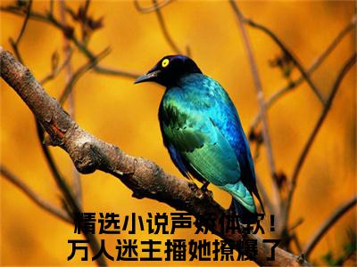 声娇体软！万人迷主播她撩爆了池淼小说在哪里可以看 声娇体软！万人迷主播她撩爆了池淼免费在线阅读