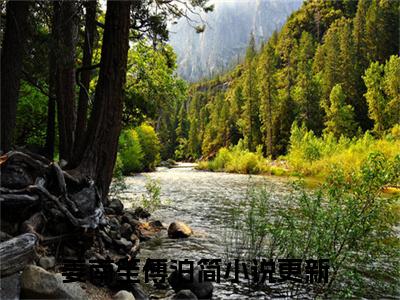 姜南笙傅泊简（姜南笙傅泊简）全网首发小说-小说姜南笙傅泊简完整版全文在线赏析