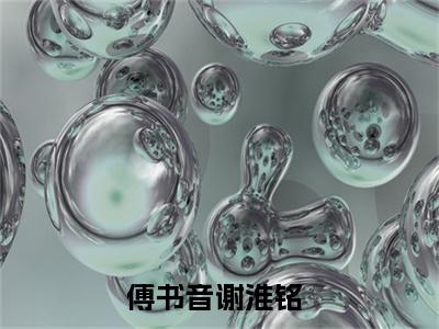 傅书音谢淮铭最新更新热门榜单小说（傅书音谢淮铭全集小说完整版笔趣阁）傅书音谢淮铭全文阅读