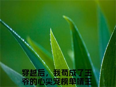 穿越后，我苟成了王爷的心尖宠榜单靖王张昔年全文免费完整版,穿越后，我苟成了王爷的心尖宠榜单最新章节完整版阅读