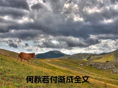 何秋若付渐成在线阅读全文免费阅读无弹窗大结局_何秋若付渐成最新章节列表_笔趣阁