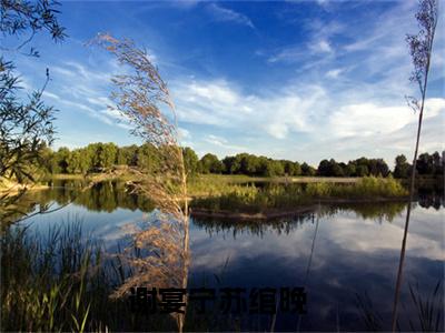 (谢宴宁苏绾晚)谢教授太直球，娇娇小姐遭不住了全文免费阅读无弹窗完整版_谢教授太直球，娇娇小姐遭不住了小说全文免费阅读