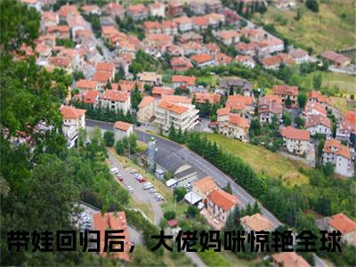 楚昀南绾全文免费阅读无弹窗(小说全文免费阅读)带娃回归后，大佬妈咪惊艳全球最新章节列表
