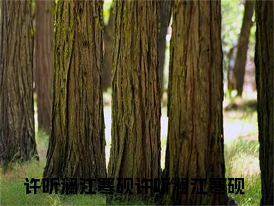 许听澜江寒砚（许听澜江寒砚）全文免费阅读_(许听澜江寒砚)许听澜江寒砚最新章节列表_笔趣阁