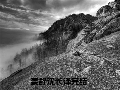 姜舒沈长泽小说大结局全文免费阅读-抖音小说另谋高嫁：这侯府夫人我不做了