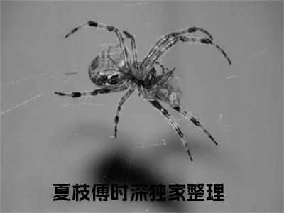 夏枝傅时深全文免费阅读-小说推荐夏枝傅时深精彩章节在线阅读