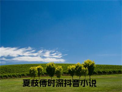 夏枝傅时深在线全文免费阅读夏枝傅时深是主角的小说