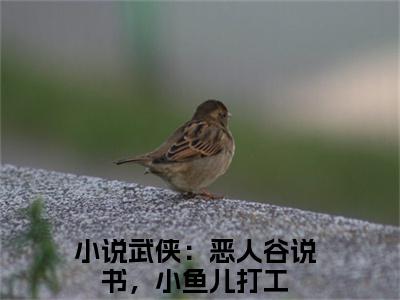 叶尘百晓生（武侠：恶人谷说书，小鱼儿打工）全文免费阅读_武侠：恶人谷说书，小鱼儿打工（叶尘百晓生）最新章节列表笔趣阁