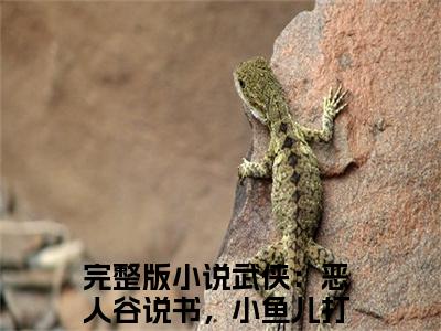 叶尘百晓生（武侠：恶人谷说书，小鱼儿打工）全文免费阅读_（武侠：恶人谷说书，小鱼儿打工）小说叶尘百晓生最新章节阅读