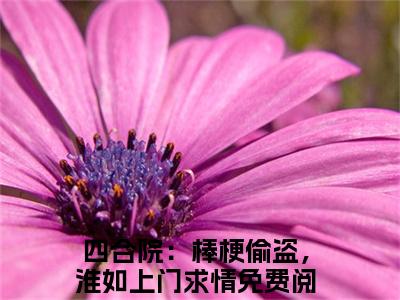 四合院：棒梗偷盗，淮如上门求情（秦淮如叶长歌）全文免费阅读无弹窗_秦淮如叶长歌最新小说_笔趣阁