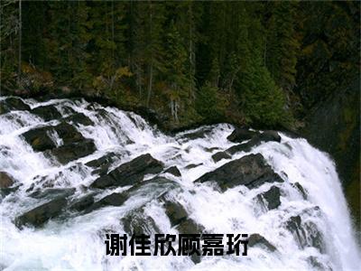 谢佳欣顾嘉珩（谢佳欣顾嘉珩）全文免费阅读无弹窗大结局_谢佳欣顾嘉珩免费阅读无弹窗
