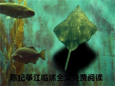 陈纪筝江临沭（他在阳光下等我）全文免费阅读无弹窗大结局_他在阳光下等我最新章节列表_笔趣阁（陈纪筝江临沭）