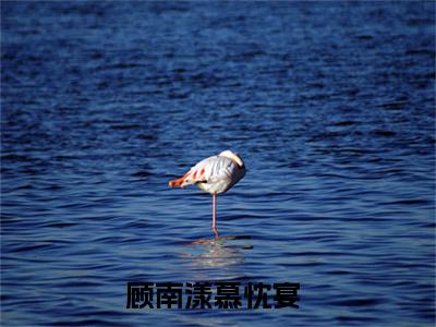 （顾南漾慕忱宴）是什么小说-（顾南漾慕忱宴）无弹窗免费阅读大结局最新章节列表_笔趣阁
