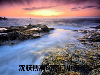 沈枝傅离时（沈枝傅离时）是什么小说-（沈枝傅离时）无弹窗免费阅读大结局最新章节列表_笔趣阁