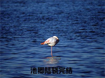 池卿陆骁全文免费阅读大结局-（池卿陆骁）最新章节列表在线阅读