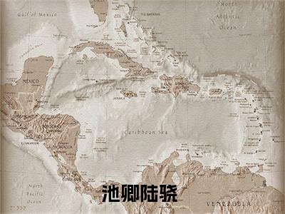 池卿陆骁（池卿陆骁）全文免费阅读无弹窗_池卿陆骁小说免费阅读_笔趣阁