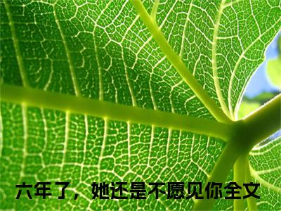 六年了，她还是不愿见你的小说免费阅读（谢靖承池念的小说免费阅读）全文完整版免费阅读-谢靖承池念好书推荐