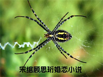 宋绾顾思珩全文免费阅读无弹窗大结局-宋绾顾思珩(宋绾顾思珩小说)最新章节-笔趣阁