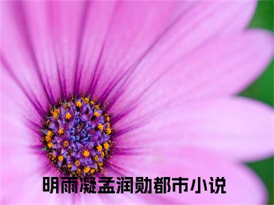 明雨凝孟润勋小说全文在线赏析-最火热点小说最新更新