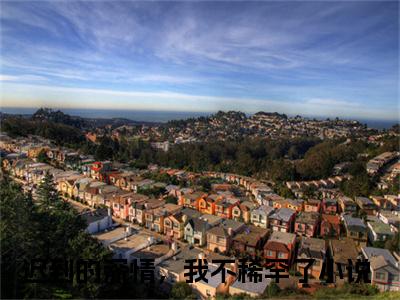 阮林叶珺文全文免费阅读无弹窗大结局-迟到的深情，我不稀罕了小说在哪里可以看