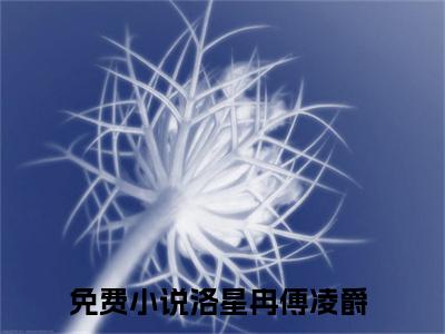 闪婚马甲甜妻，禁欲傅爷狠心动（洛星冉傅凌爵）女生必看小说全集_洛星冉傅凌爵（闪婚马甲甜妻，禁欲傅爷狠心动）全文免费阅读