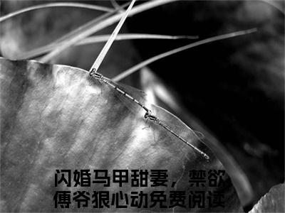 闪婚马甲甜妻，禁欲傅爷狠心动无弹窗（洛星冉傅凌爵）全文免费阅读无弹窗大结局_洛星冉傅凌爵最新章节列表（洛星冉傅凌爵）