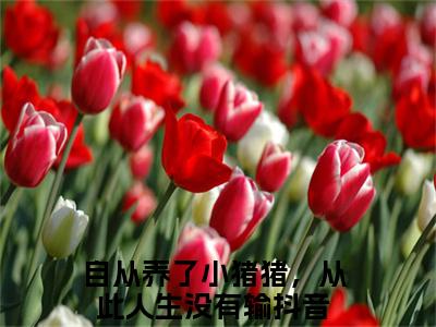 自从养了小猪猪，从此人生没有输小说全文免费阅读（江美芽陈林川）全文免费阅读无弹窗_自从养了小猪猪，从此人生没有输小说全文免费阅读_笔趣阁