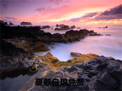 夏歌白琅 夏歌白琅小说全文免费阅读_夏歌白琅最新章节列表笔趣阁