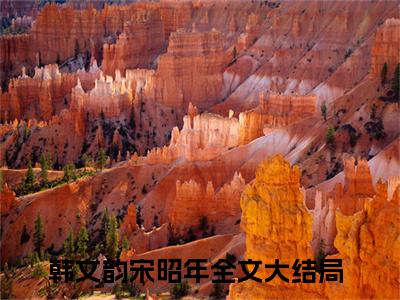 韩文韵宋昭年全文(韩文韵宋昭年)全文免费阅读无弹窗大结局_ 韩文韵宋昭年全文免费阅读最新章节列表_