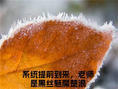 系统提前到来，老师是黑丝魅魔楚浪精彩小说赏析全文 系统提前到来，老师是黑丝魅魔楚浪热门小说免费阅读