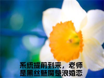 系统提前到来，老师是黑丝魅魔楚浪全文免费阅读无弹窗_（系统提前到来，老师是黑丝魅魔楚浪）全文在线阅读大结局