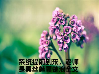 系统提前到来，老师是黑丝魅魔楚浪完整章节阅读-系统提前到来，老师是黑丝魅魔楚浪全文试读