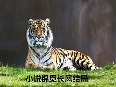 锦觅长凤热门小说在线阅读 锦觅长凤全网推荐（锦觅长凤）全文