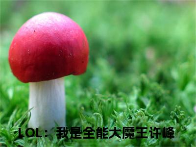 LOL：我是全能大魔王许峰免费小说-LOL：我是全能大魔王许峰已更新最新章节