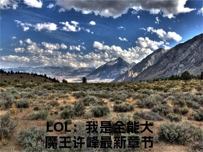 抖音新上热文LOL：我是全能大魔王许峰-抖音热推小说无弹窗阅读