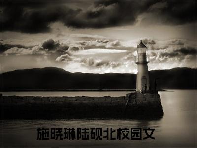 施晓琳陆砚北（施晓琳陆砚北）全文免费阅读无弹窗大结局-施晓琳陆砚北最新章节列表-笔趣阁