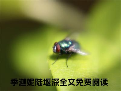 季迦妮陆堰深小说(季迦妮陆堰深)全文免费阅读无弹窗大结局_(季迦妮陆堰深小说全文大结局)最新章节列表_笔趣阁（季迦妮陆堰深）