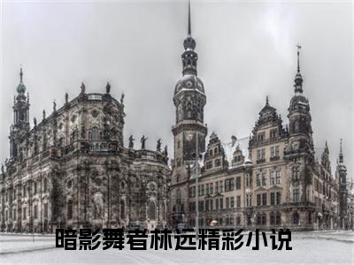 暗影舞者林远（暗影舞者林远）免费小说-暗影舞者林远（暗影舞者林远）完结版在线阅读