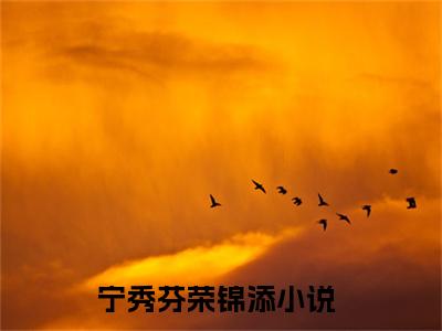 宁秀芬荣锦添（宁秀芬荣锦添）小说在线阅读_宁秀芬荣锦添全本免费小说阅读（宁秀芬荣锦添）