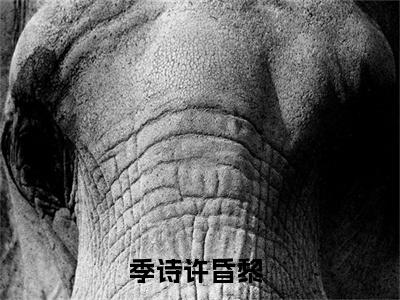 季诗许昏黎(季诗许昏黎)小说免费下载全本-季诗许昏黎（季诗许昏黎完整版）免费阅读无弹窗