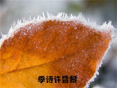 季诗许昏黎小说全文（季诗许昏黎）全文免费阅读无弹窗大结局_季诗许昏黎小说全文最新章节列表_笔趣阁