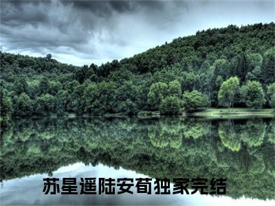 百分爆评热文苏星遥陆安荀_苏星遥陆安荀小说无弹窗在线阅读