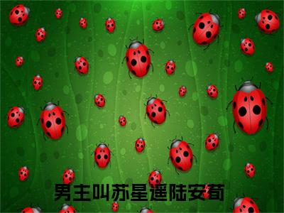 苏星遥陆安荀小说（苏星遥陆安荀）全文免费阅读无弹窗大结局_（苏星遥陆安荀）苏星遥陆安荀最新章节列表笔趣阁（苏星遥陆安荀）