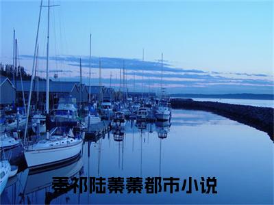 婚后才知，大佬他暗恋我多年小说（秦祁陆蓁蓁）全文免费阅读大结局无删减_（秦祁陆蓁蓁）婚后才知，大佬他暗恋我多年小说最新章节列表_笔趣阁